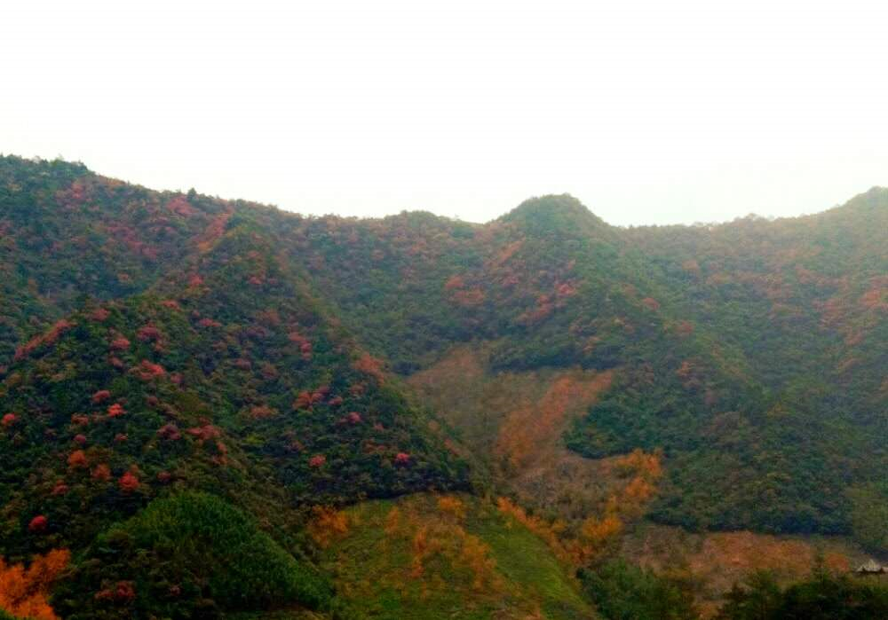 天目大峡谷秋季