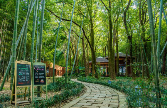 同里国家湿地公园1