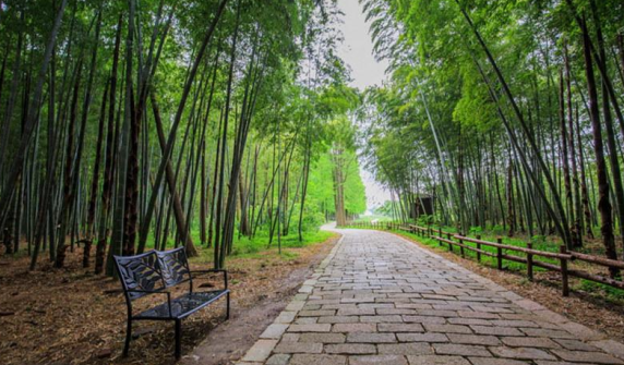 同里国家湿地公园3