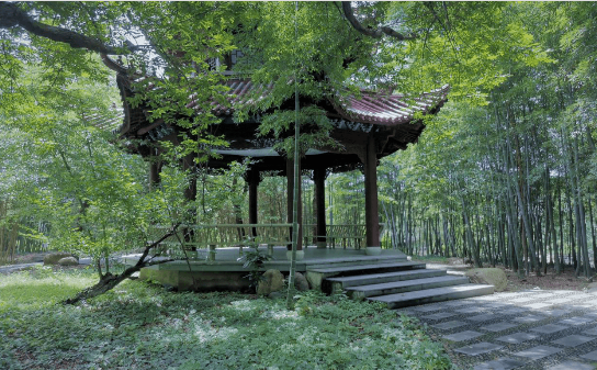 竹博园4