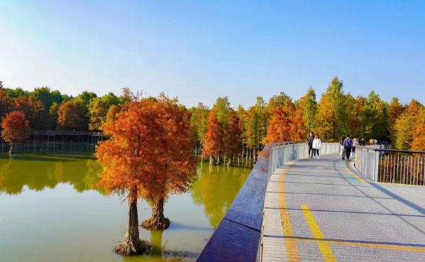 秋天的青山湖