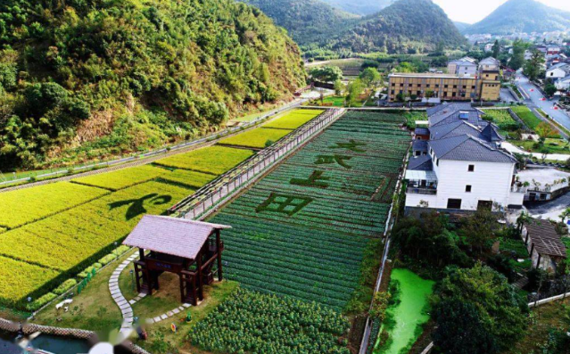 文武上田