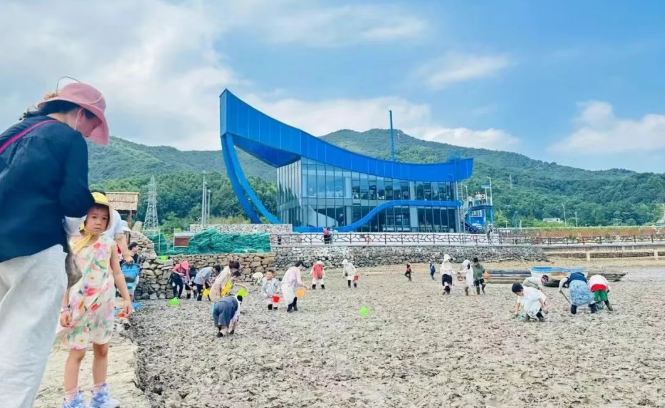 海花里滩涂