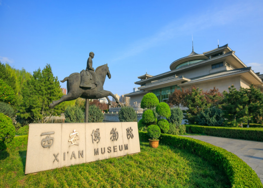 图片5