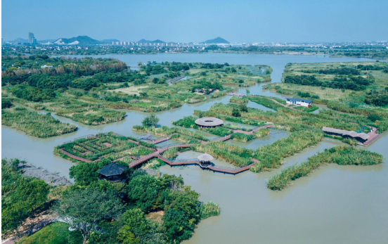 下渚湖湿地公园3