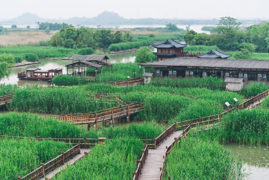 下渚湖湿地公园1