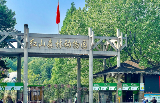 红山森林动物园