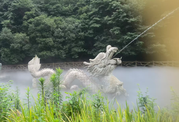 龙坞仙境6