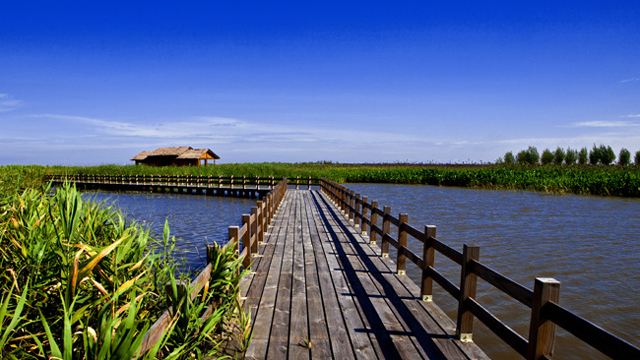 杭州湾湿地公园3