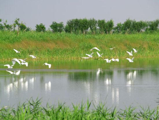 杭州湾湿地公园