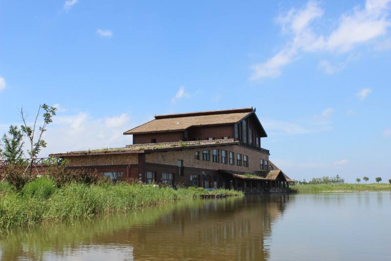 杭州湾湿地公园8