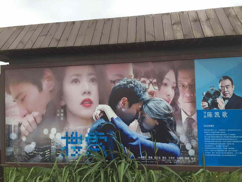 杭州湾湿地公园9