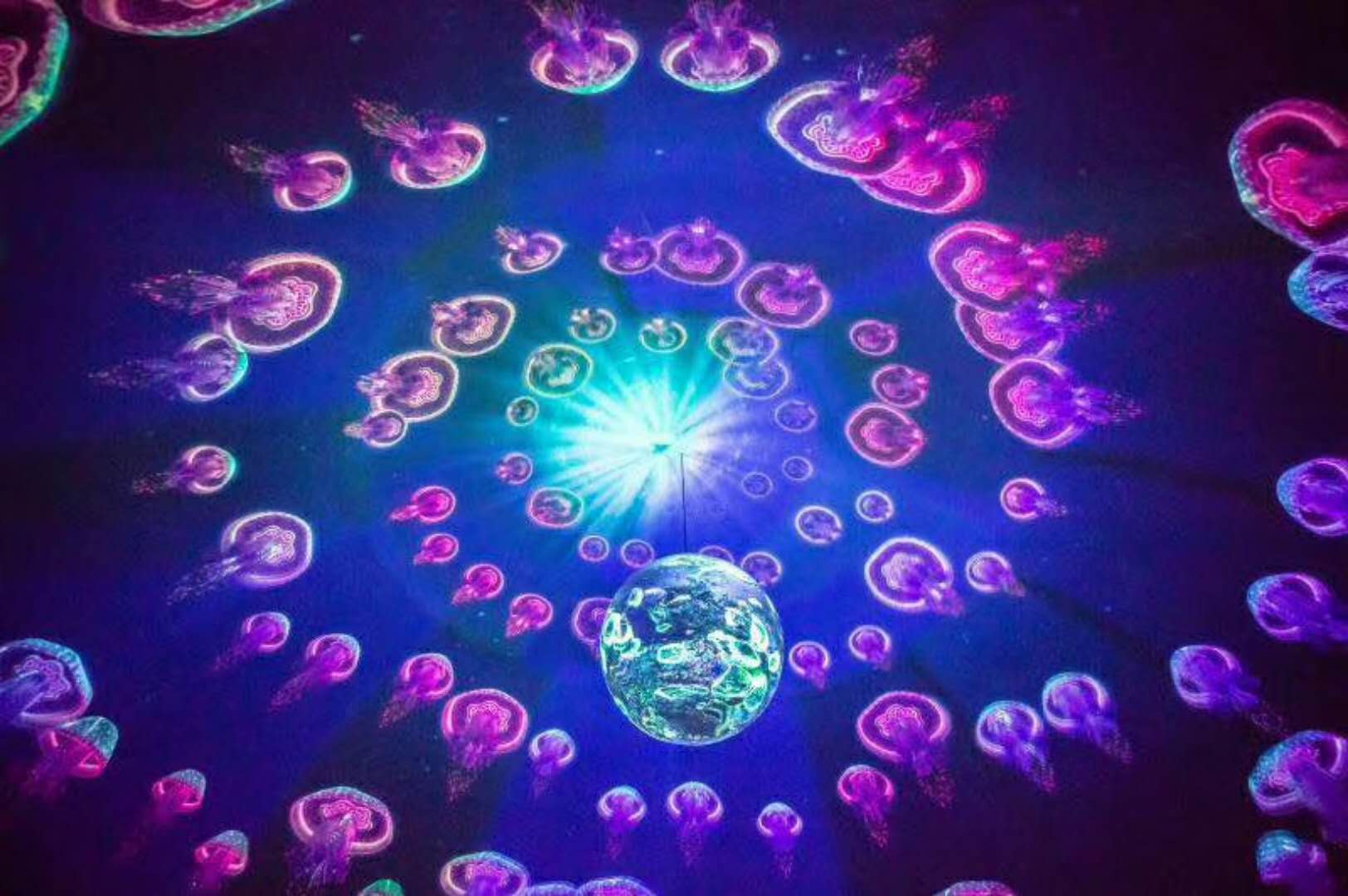 海昌海洋公园18