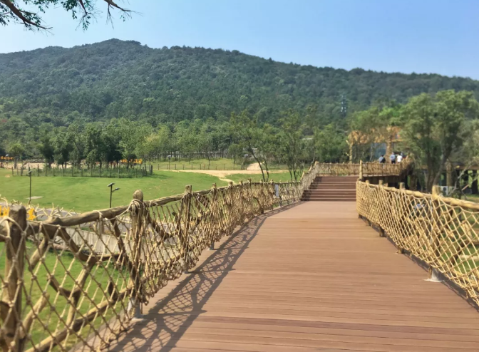 龙之梦动物世界3